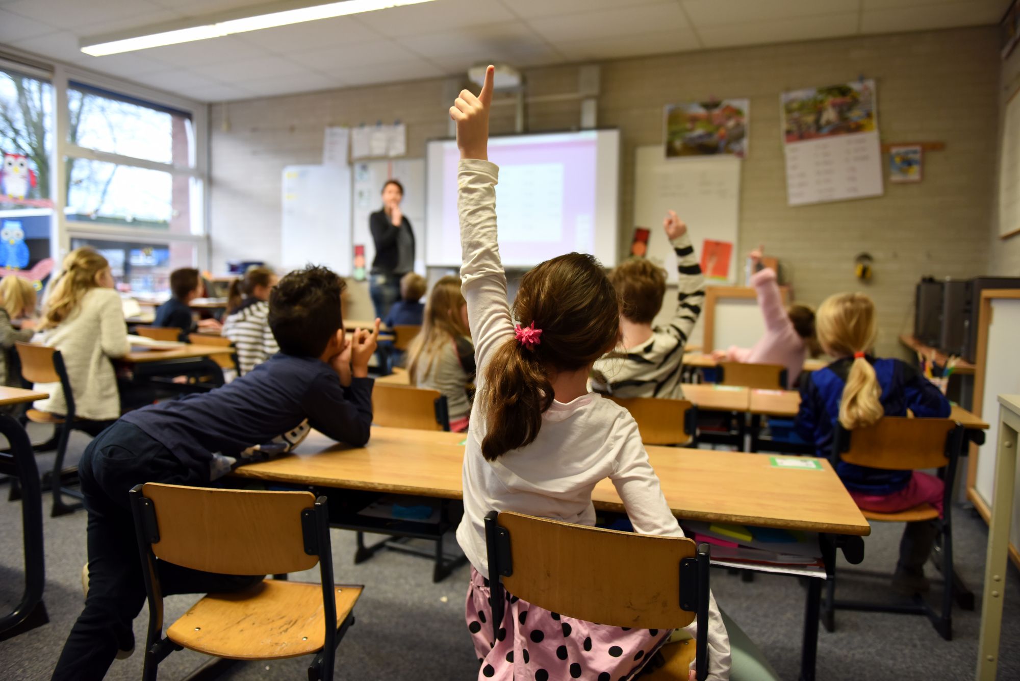 Students at their desks in a busy classroom, one raising her hand to answer